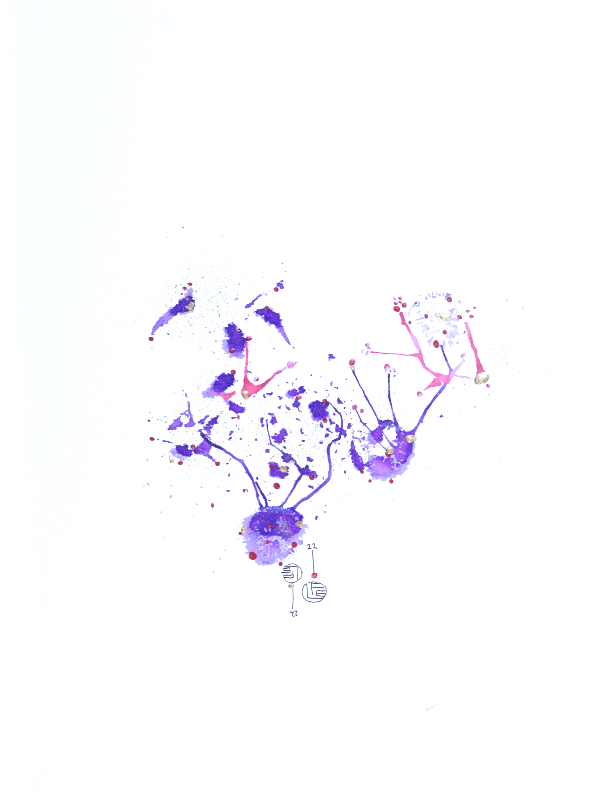 Le Songe des Abysses I